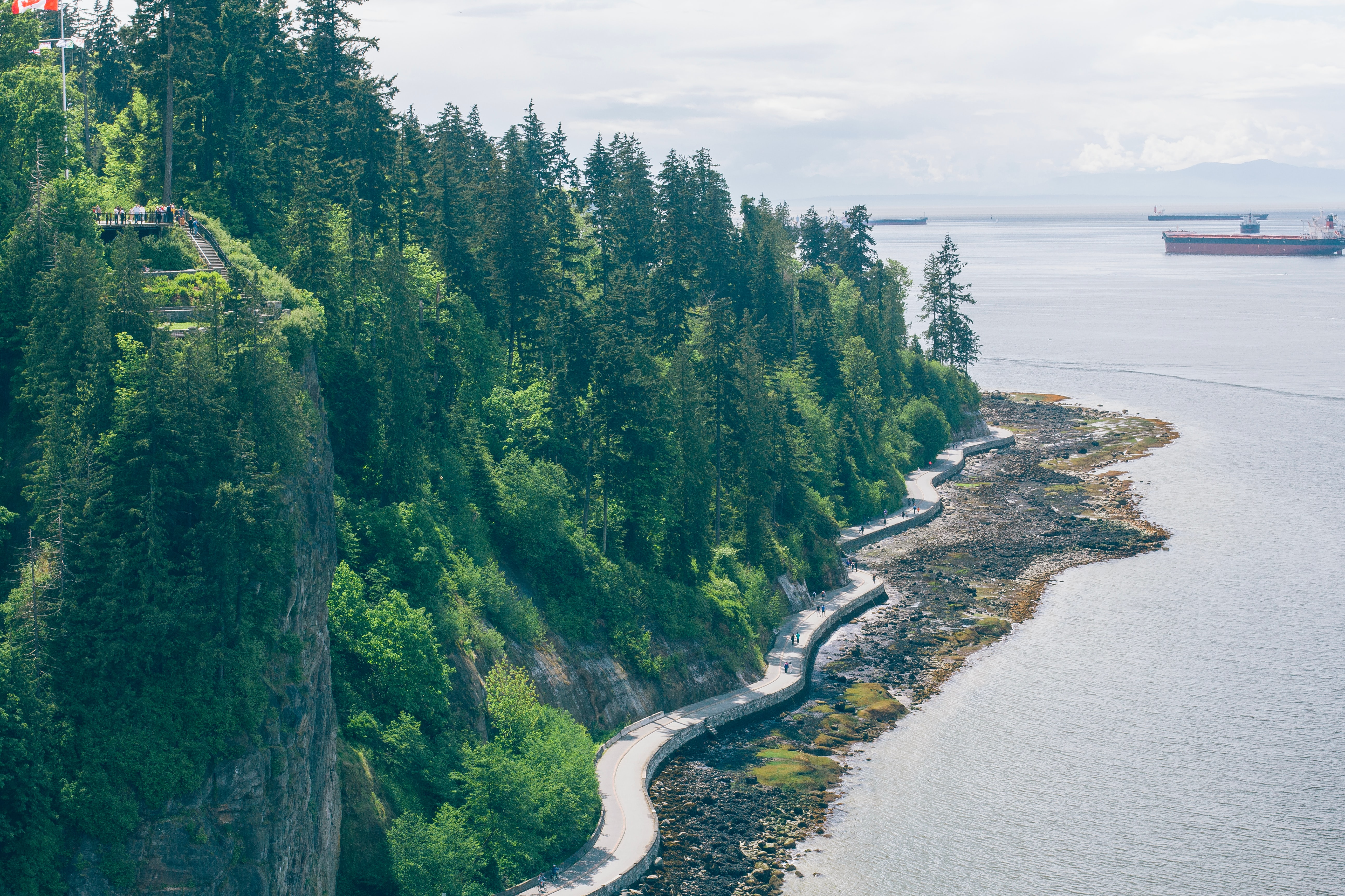 view of seawall, trees, and ocean