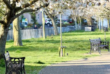 park with cherry blossoms