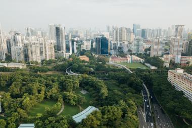 ariel view of city with trees