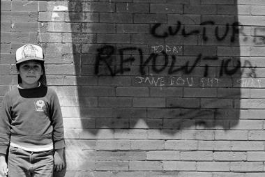 bear-culture-revolution