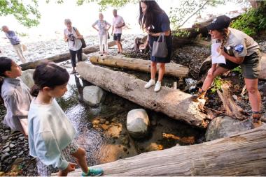 People standing on sills by the stream