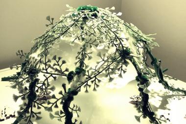 Larissa Tobacco's final project