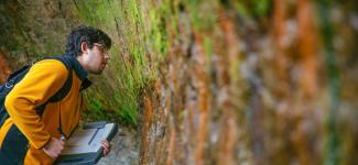 Researcher looking at wall in nature