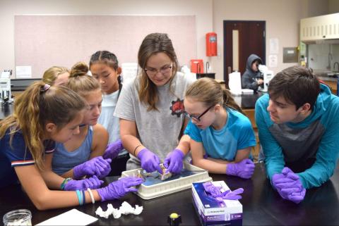 Group of children gathered around a science experiment with an adult