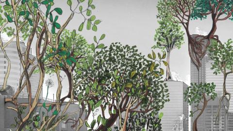 Illustration of trees